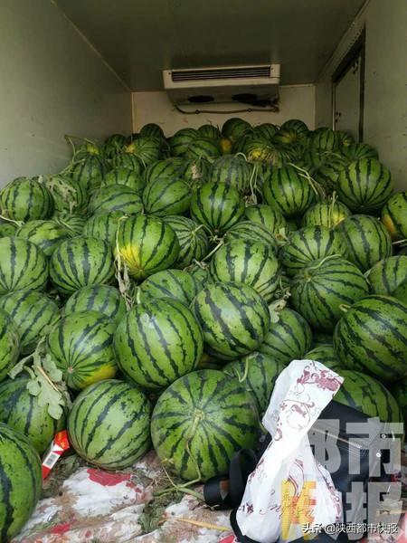 今年高价水果为啥纷纷降价