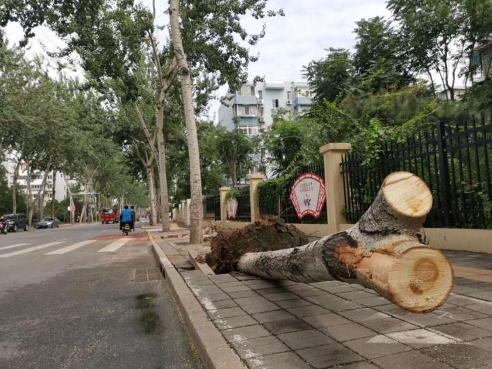 北京又将迎雷雨冰雹 和上次有何不同