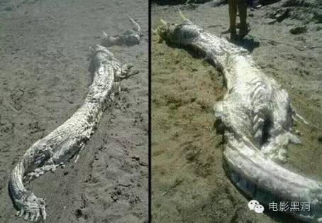 西安再现龙形不明物