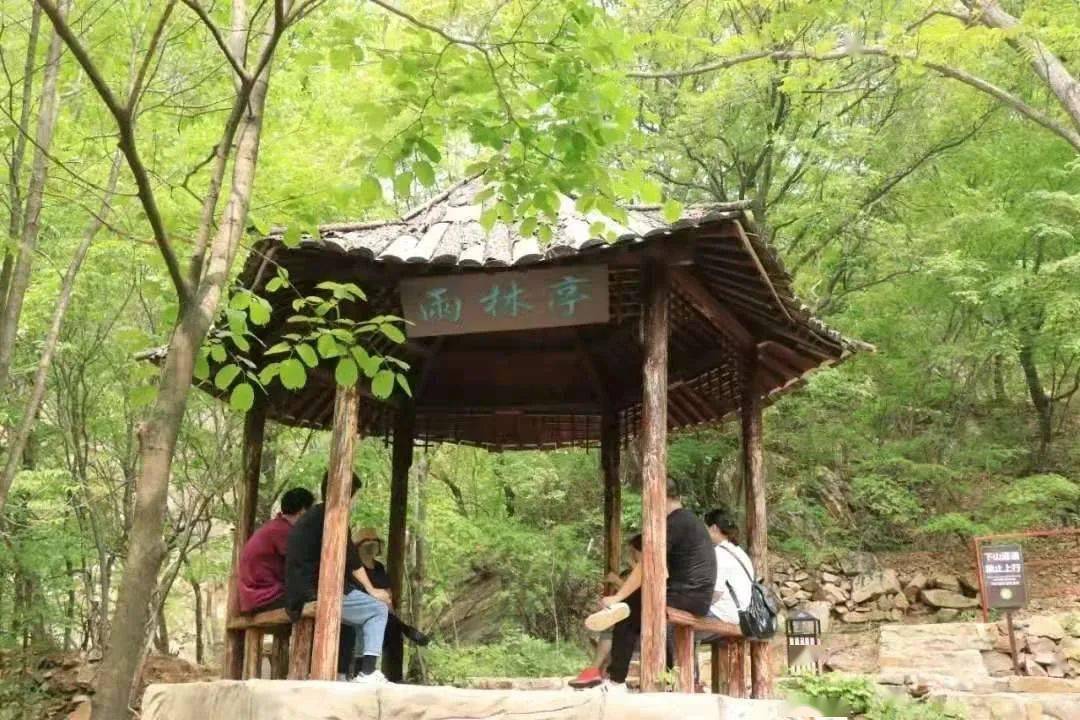 母亲节在即 全国大屏都在喊“妈”