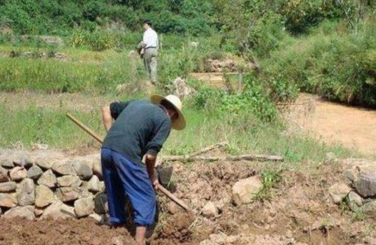 河南一地众人下河摸金？当地回应：真相究竟如何？