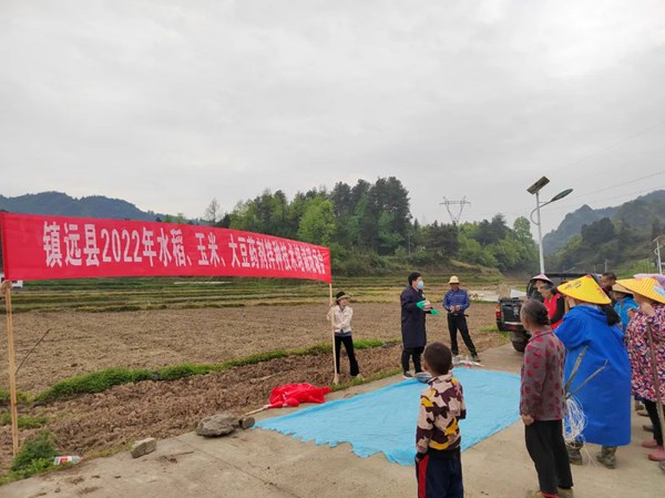 打好抗旱主动仗 助农稳产保丰收