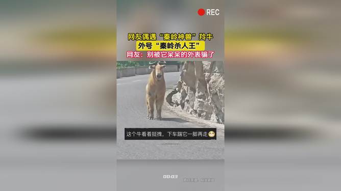 解决方案 第20页