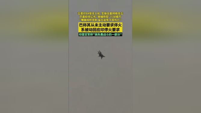 巴公布"铜墙铁壁"行动细节