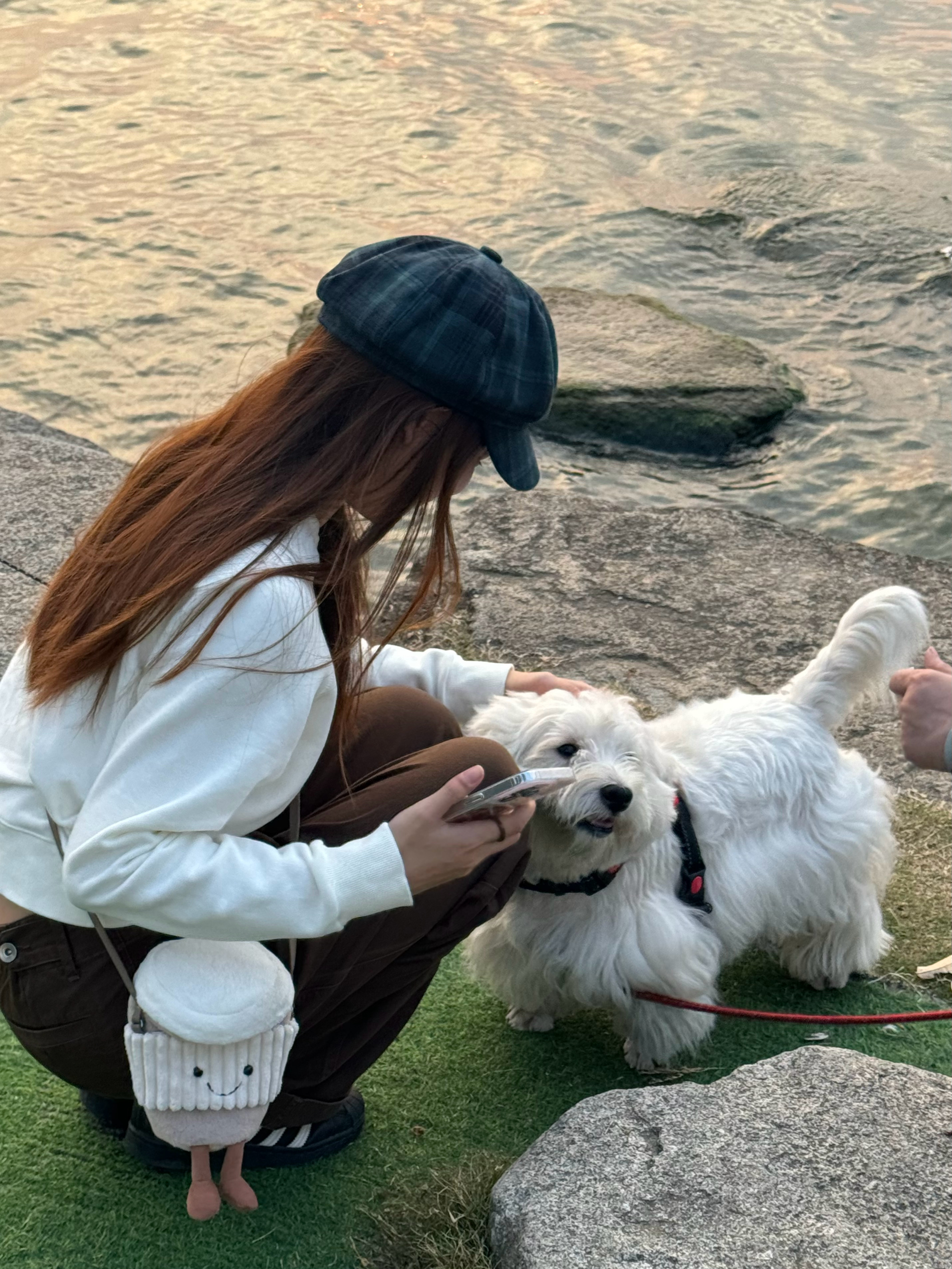 带小狗看一生都看不到的地方：一场震撼心灵的奇妙之旅