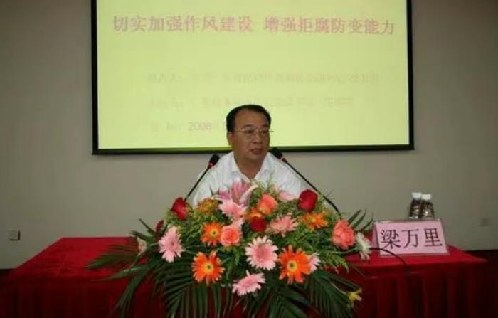 梁万里被开除党籍