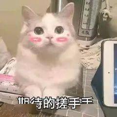 甜蜜的梦境  _1