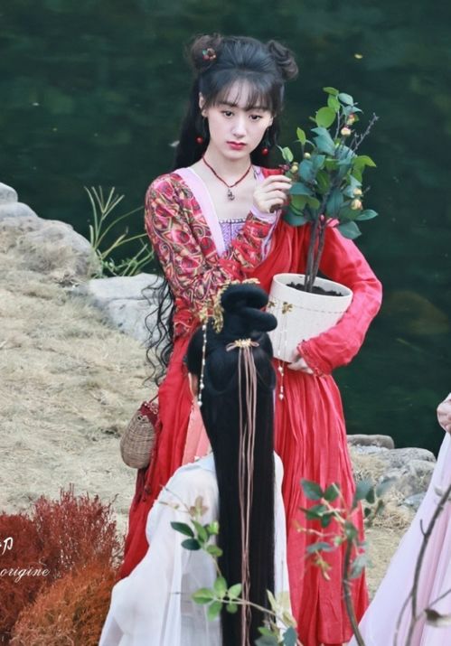 《落花时节又逢君》又虐上了