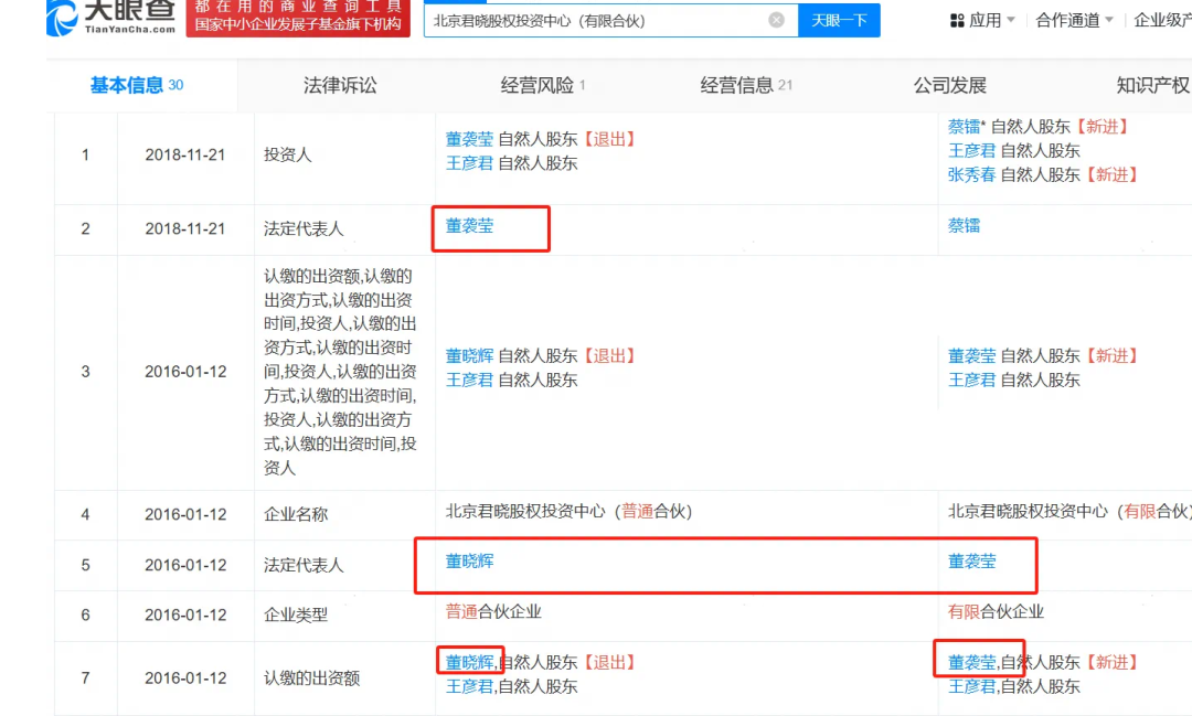 董袭莹入学资格造假、抄袭剽窃
