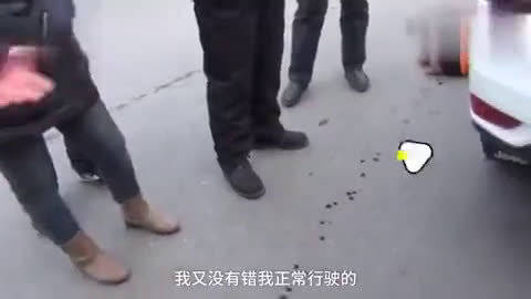 女童被狗扑咬受伤