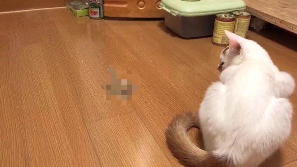 男子吃饭狼吞虎咽把食管吃破了