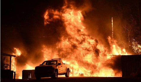 美国加州50多只鸟空中突然爆炸