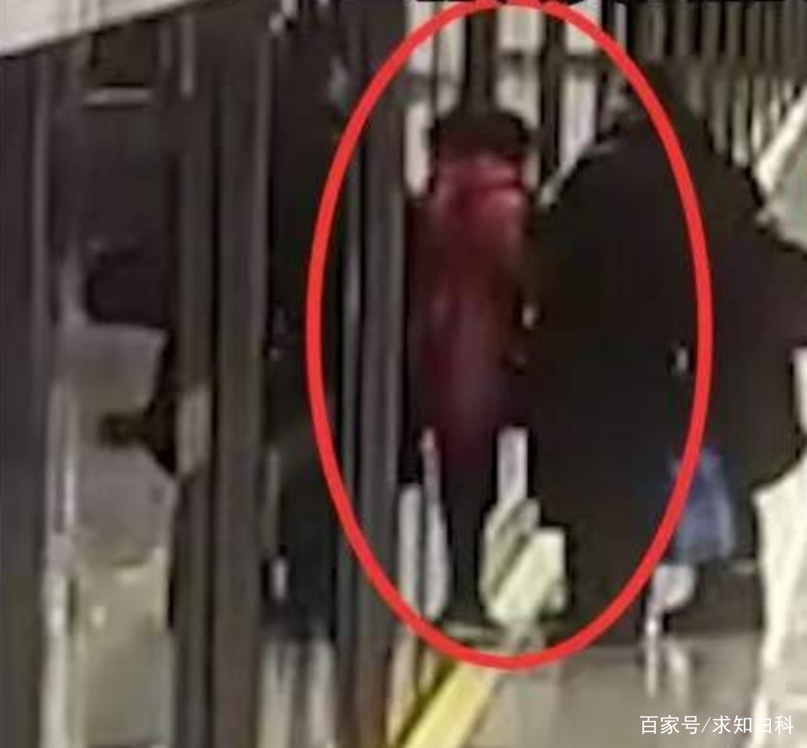 高铁启动女乘客突然冲出被门夹住