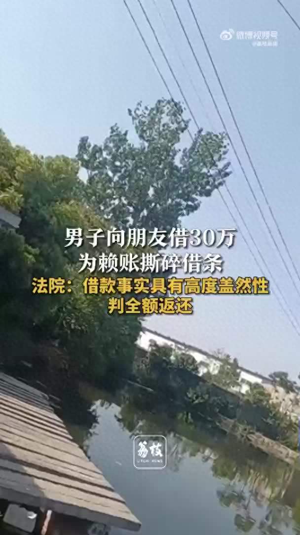 男子为赖账30万撕碎借条