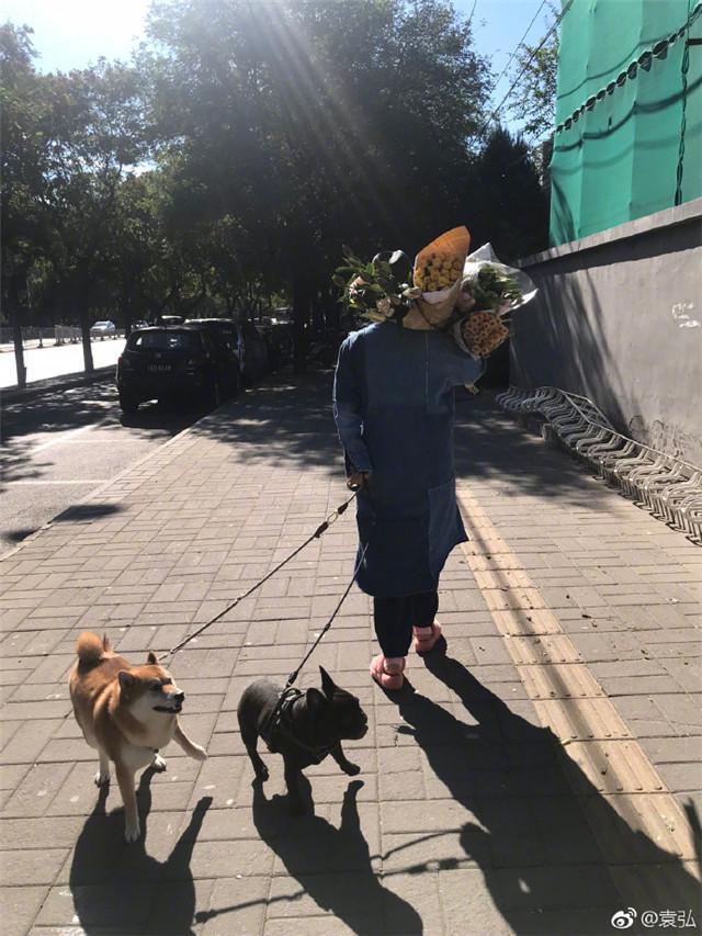 🔥震惊！卖小狗花束月入3万，她是如何做到的？揭秘背后暴利生意！