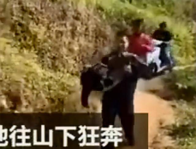 震惊！为何全社会都在呼吁精神病行凶入刑？真相令人深思！