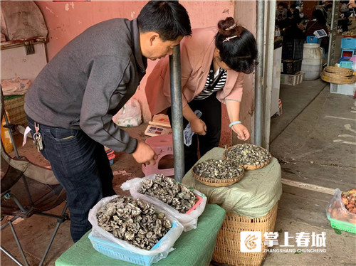 震惊！天价鸡枞卖到1800元，背后真相让人瞠目结舌！