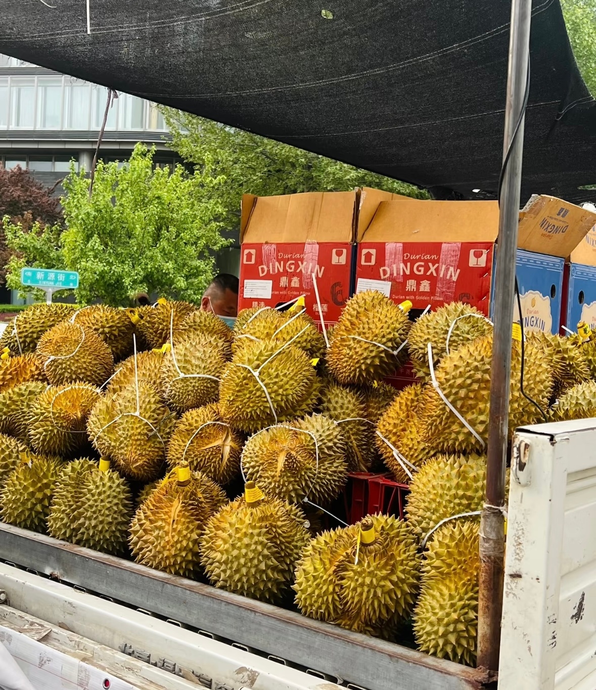 震惊！榴莲价格暴跌50%，有人狂买50箱！背后原因令人意外！