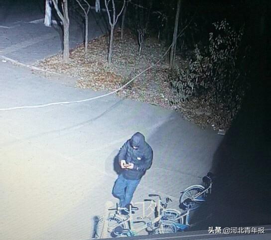 愤怒发泄！女子推倒一排自行车撒气引热议，背后原因令人深思
