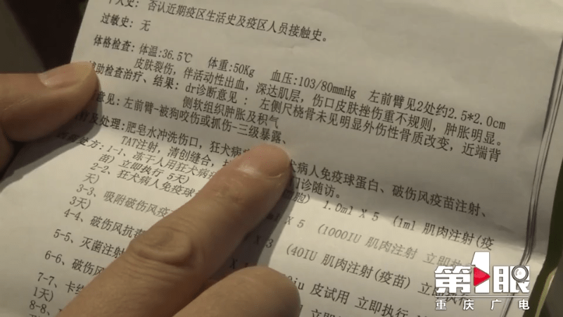 震惊！女子立遗嘱给宠物狗留了十几万，背后原因令人动容