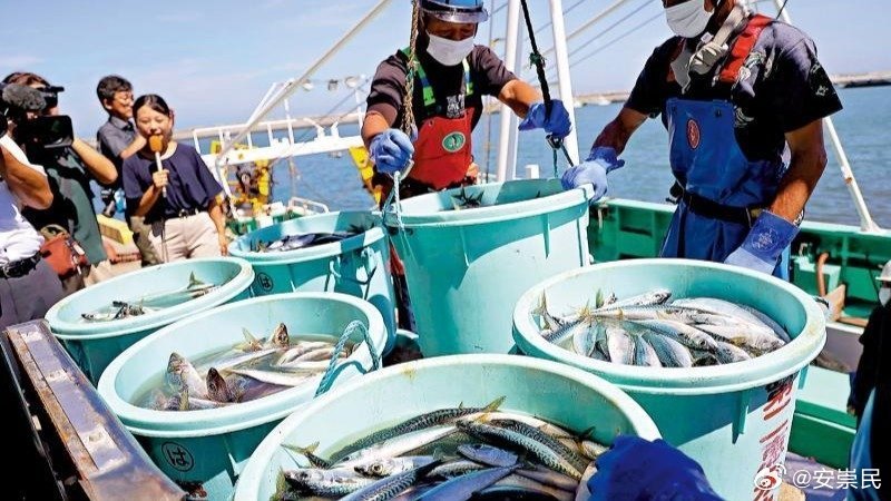 重磅！中方表态将研究日本恢复水产品输华请求，未来贸易走向引关注