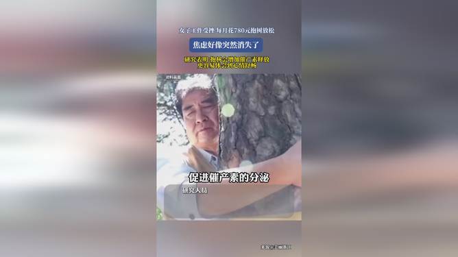 "工作受挫后她竟每月花780元抱树放松？揭秘都市人的治愈新方式！"