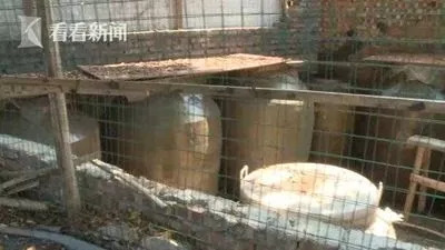 震惊！山东一公司多人落入清洗池致5死，事故背后隐藏哪些安全隐患？